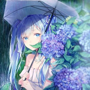 VOCALOID,初音ミク,紫陽花,雨