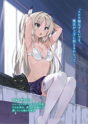 長髪,ソロ,長身像,light_erotic,乳房,ツーサイドアップ,长发,single,nauribon,胸部,金发,坐姿