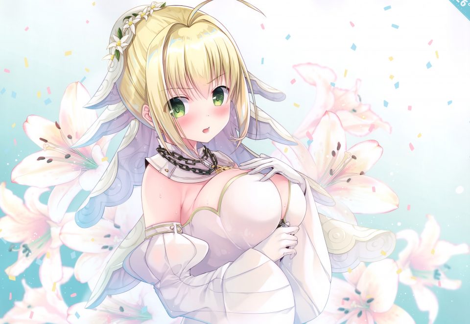 TwinBox Saber_Bride SaberExtra Fate/extra Fate/extra_Ccc Fate/grand_Order Fate/StayNight Cleavage