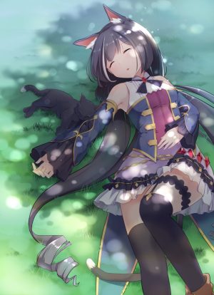 princess_connect!,kyaru,aies,ソロ,長身像,赤面,開いた口,黒髪,前髪,獣耳,eyes_closed,very_long_hair,lying,尻尾,animal_tail,payot,cat_ears,from_above,シャドー,cat_girl